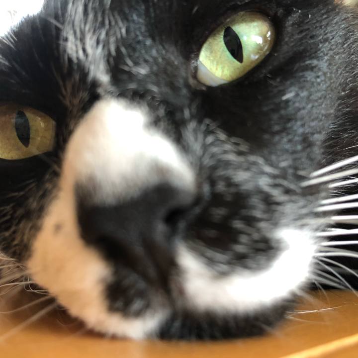 26059577 4410 4a6b ac43 d6e460d57b7c 1630728919817