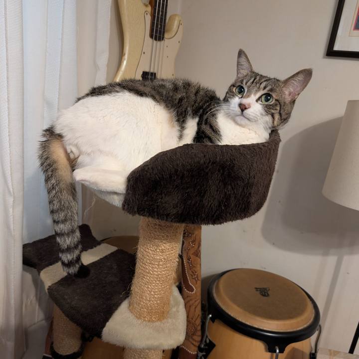 260596b2 96af 4f5a a28a 012a1f1e7c01 1770942495205