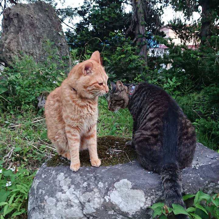 2605ac6f ba61 4a2d 85d9 08e6bf75a4f7 1657448228348