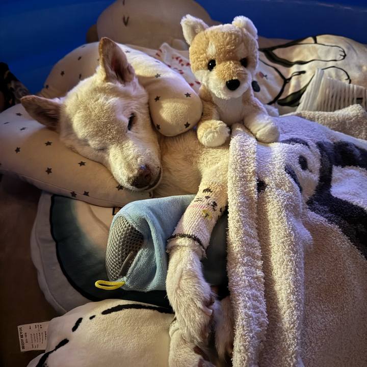 2605d166 7676 4e7a 992e bcd65d45087a 1705575670714