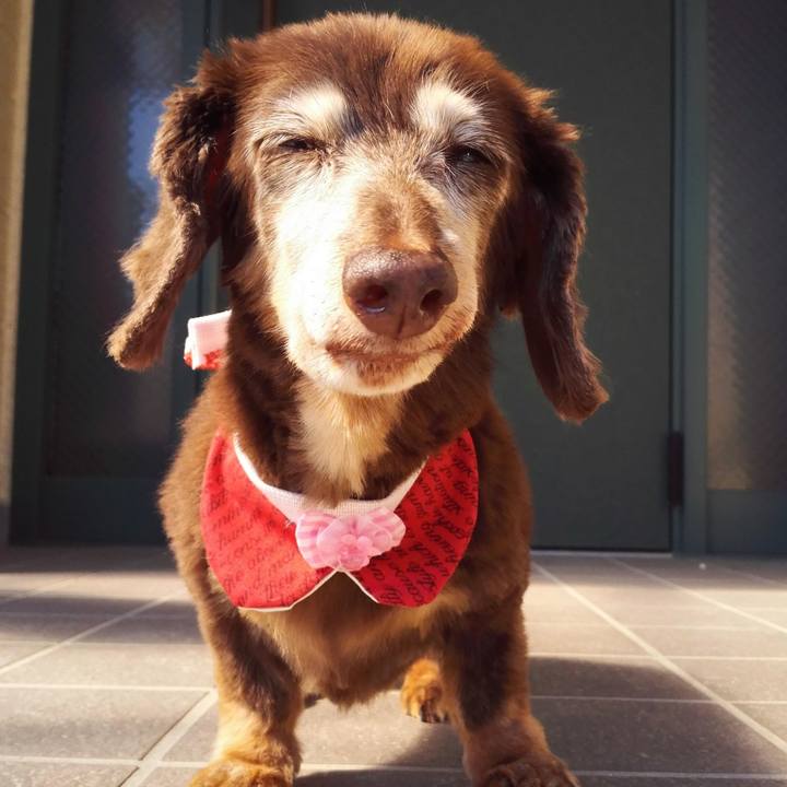 2605df53 3d4d 4821 b4e7 c82efa3b22c1 1772539227043