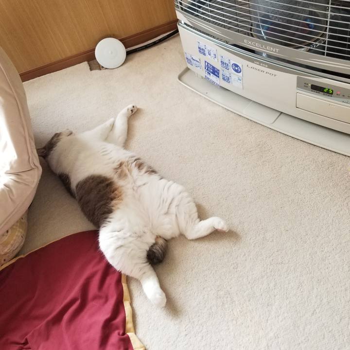 2605fde2 9bdc 46f3 8de6 520764c3ef6f 1654235003936