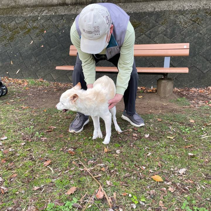 260602b2 f1c0 4e74 88cd 52486a27bf3e 1679566808150