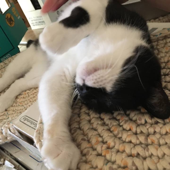 26063c9e 8541 4a9b 88d0 849d3fff403b 1568346670964