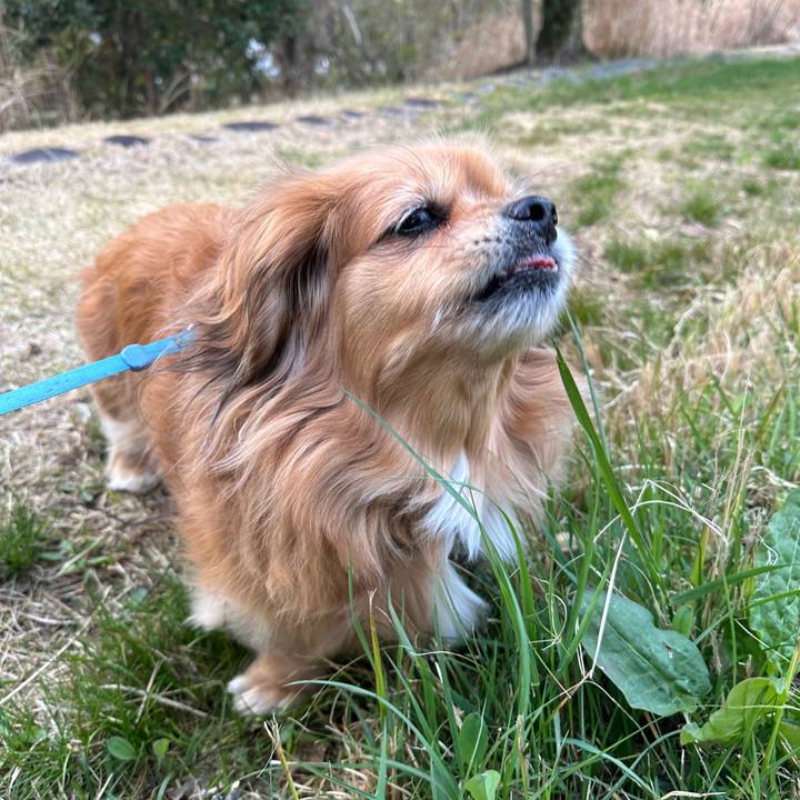 2606662f e358 4e7b 93ad dbd084b37d9d 1742939038183