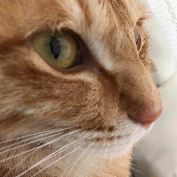 26067d4b cd2a 4c49 a6d2 1f9ae8a792d0 1520466760993