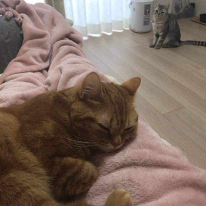 260680be 08e0 430b a8e8 673509ebed78 1548470927653