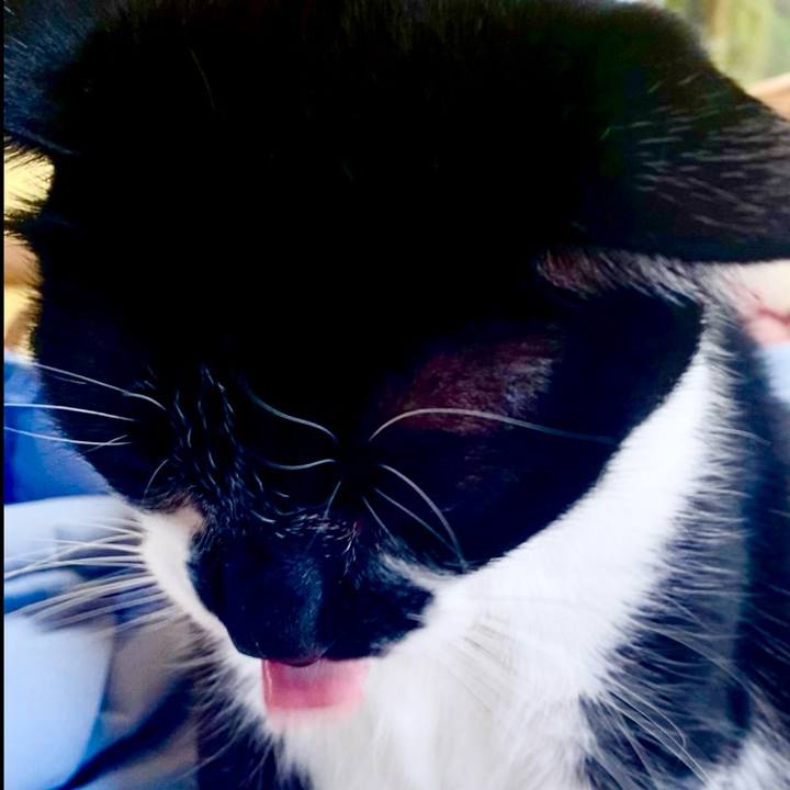 2606888b 2188 482e ad3f c531a5649629 1731721791283