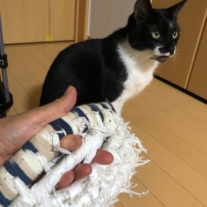 2606b524 c15f 43ab a469 61745d50d282 1631859160651