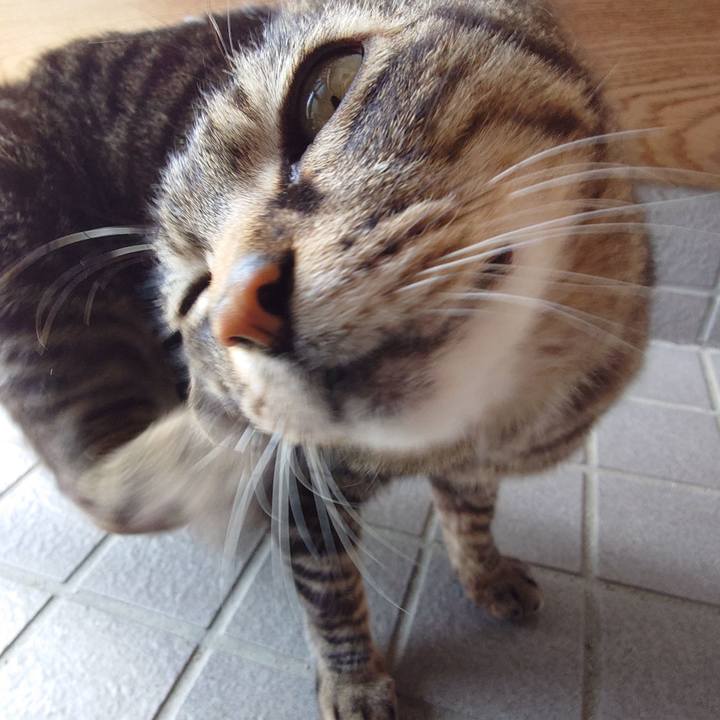 2606fc79 ad73 4d1f 8c80 1b450d67c4ff 1744085715585