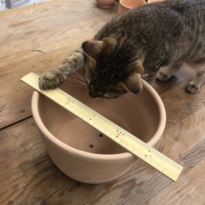 260757d9 14b8 4548 943e caffa8eef217 1595226947238