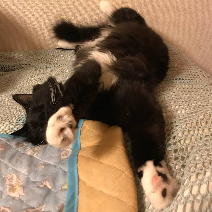 26077637 54b2 467b 96f0 20fba0d39430 1532401948136