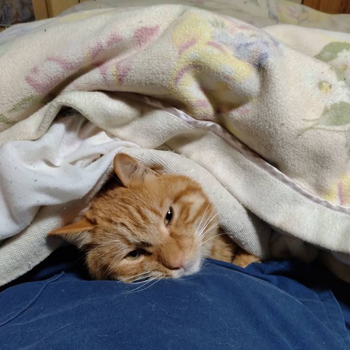 260792e6 024e 4664 b3a3 c2f4513a58c8 1700998769941