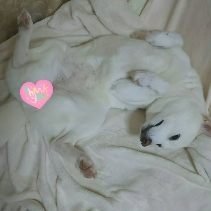 2607a701 3044 4af7 8c1e 5053b289e040 1588730182777