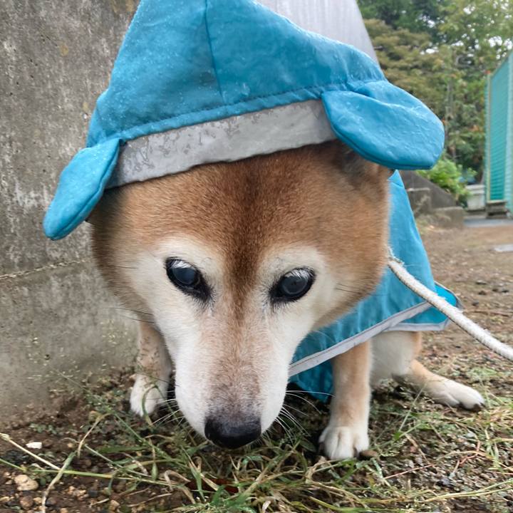 2607ab57 f413 4821 a5b6 d6569ea108a3 1728358359565