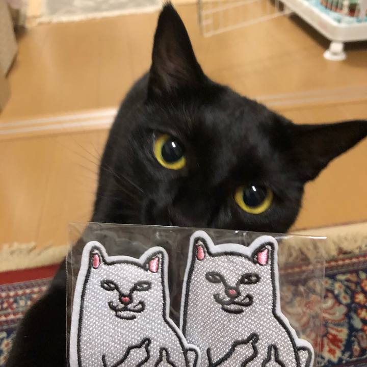 2607b9b3 fd41 4f68 8635 694dad59212a 1532784016447