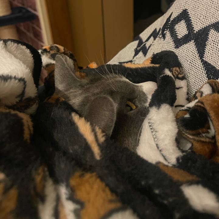 2607d245 f4c4 4ae1 a734 efa158cfa989 1702563271992