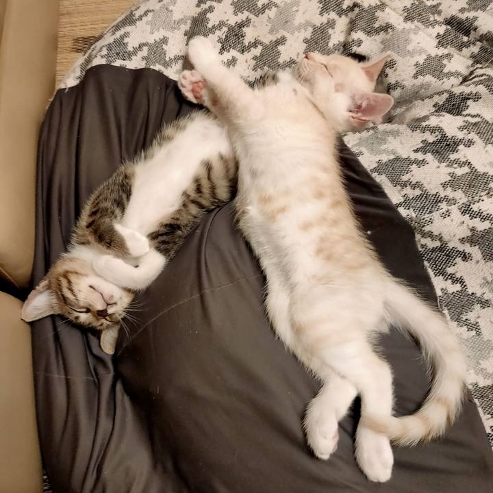 26081ffe 1533 453c a3f5 8d825fbe92b9 1658289783643