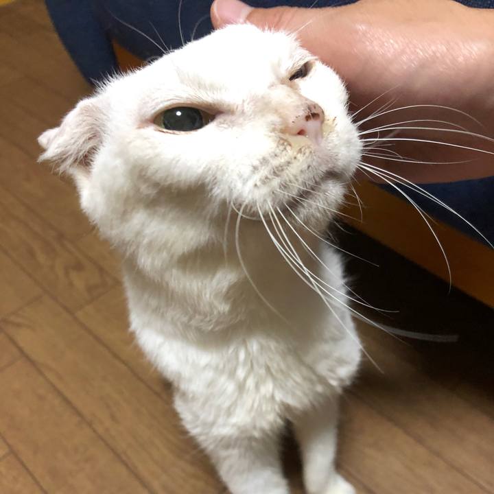 260869a4 973f 45fe 8bcf e8ef39efab50 1602845224625