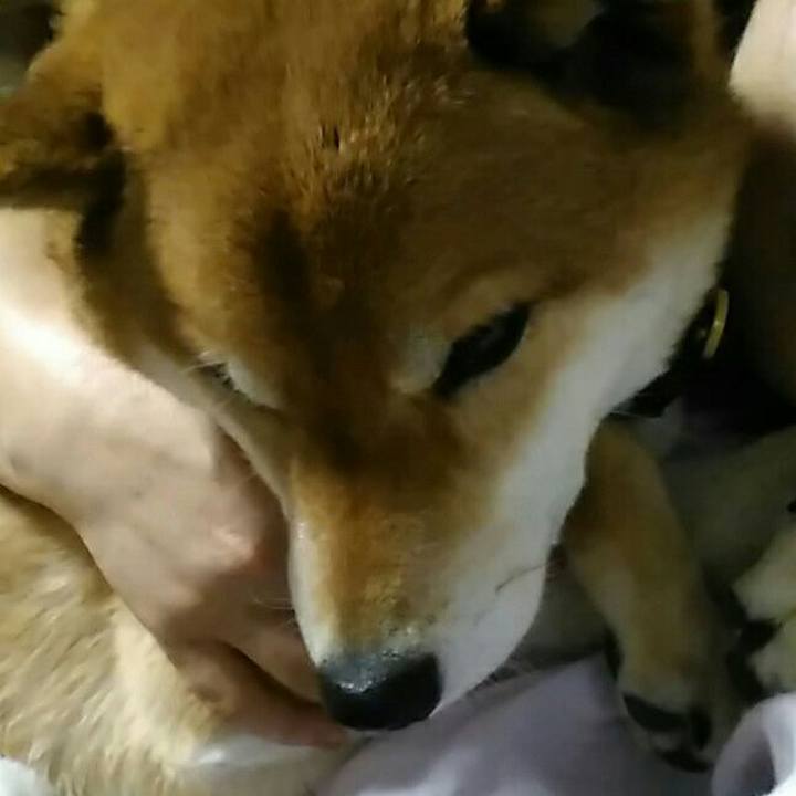 26087daf d6b8 4cb3 9611 0fac837bcbaa 1555666193061