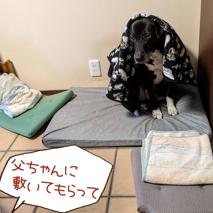 2608839d b69d 461f a42d 1de269d6ecf2 1709981623165