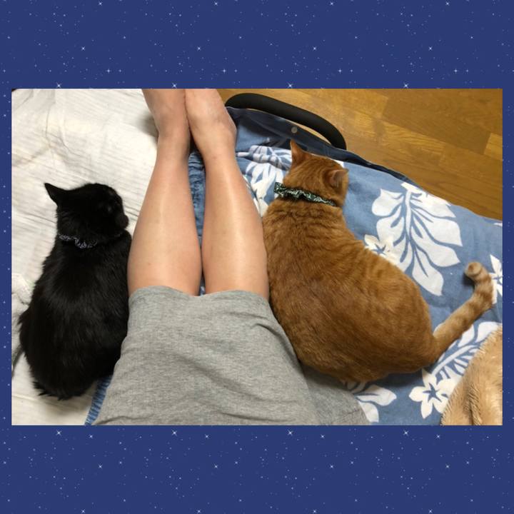 2608a13d aea2 4722 88ca a05902338cef 1582146892609