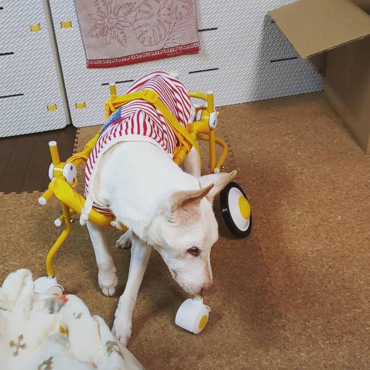 2608bf0f 7c59 4daa 86c0 8746874b5d6b 1629597541985