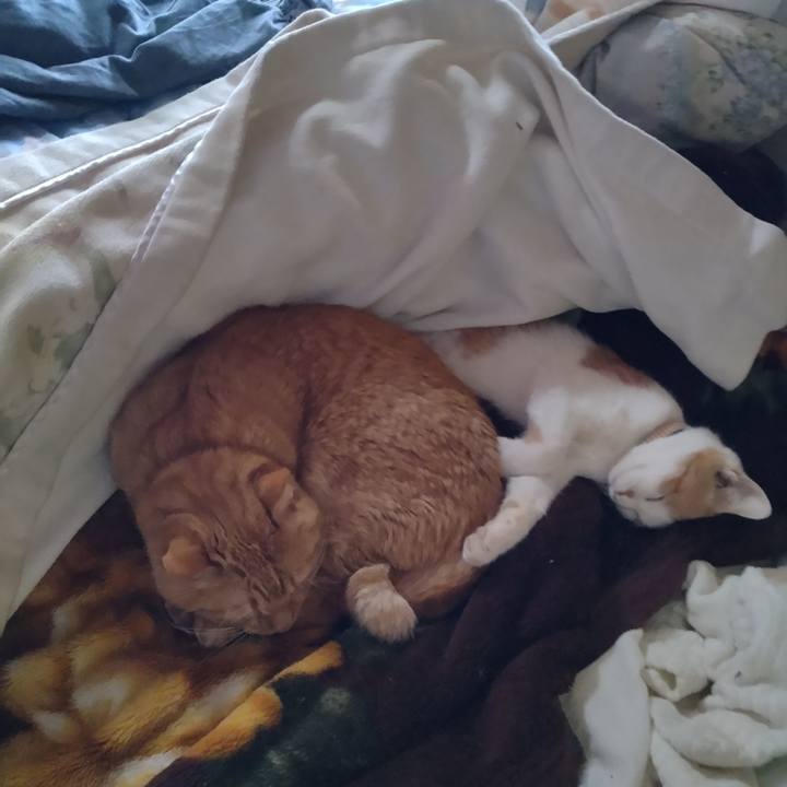 2608d92d f205 4097 bb66 6c87a6c054f3 1734403955247