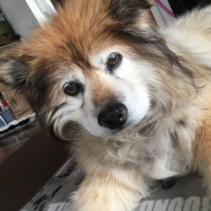 2608d9ef 1012 4b70 a9d9 9548c944f2d3 1556925908579