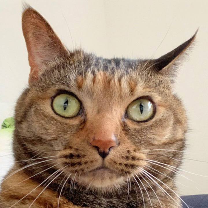 2608e63d 6a47 4b60 a182 c3acdd13a62a 1592657360491