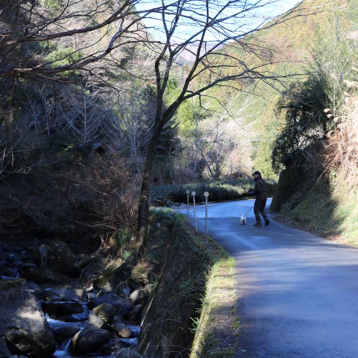 2608ec17 358b 4e65 8cbc 0ddaa9a70ae0 1514952977594