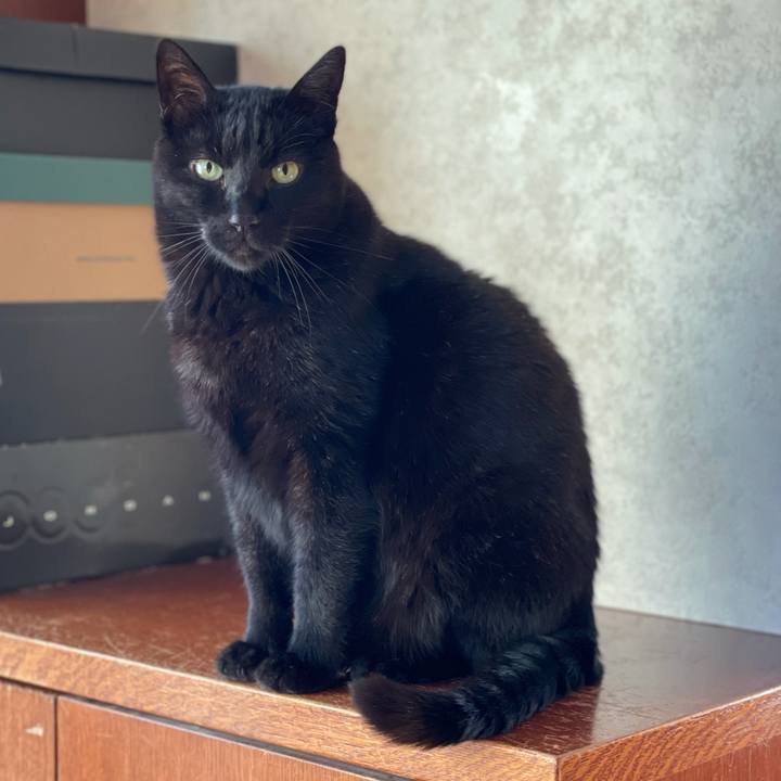 260923eb 76dd 43ca 9e9d 1ee4651a0952 1617931528493