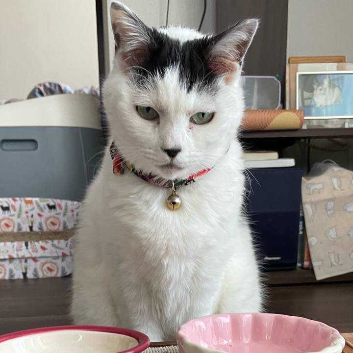 26092f4b 1074 43d9 b417 e92220b1cb04 1712187423904