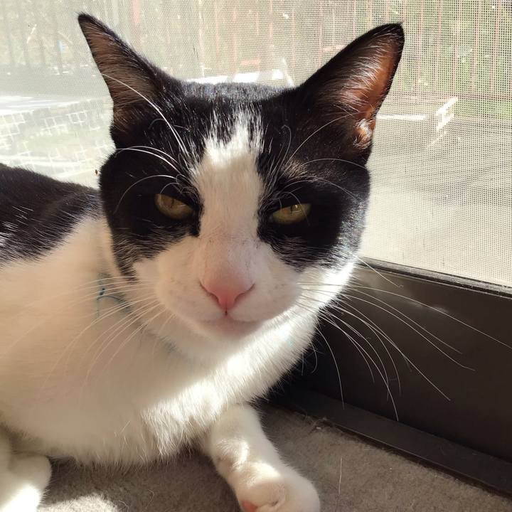 260933f3 e646 4841 b272 a3a0e48f6daf 1700474339086