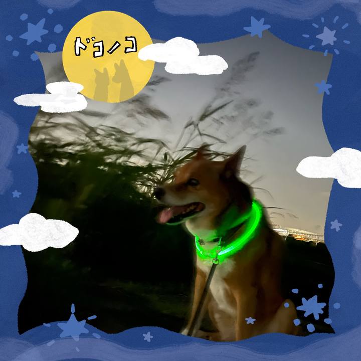 26094784 0786 4d78 a132 be1eb9fb10a4 1727214119675