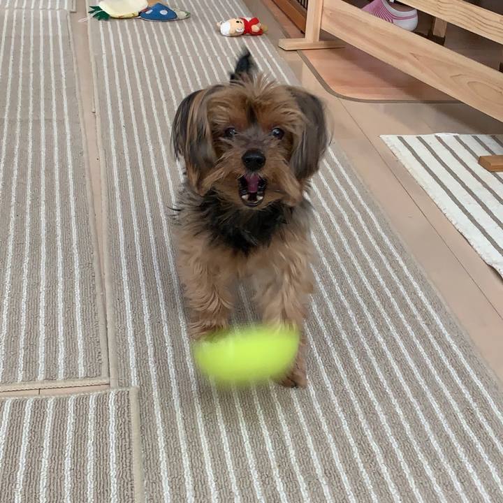 26094c36 0169 47ad 8080 e08a73eaeffd 1579410205618