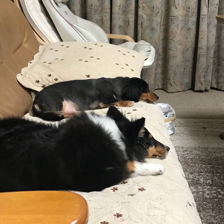 2609512c c0fe 46e8 9ddf 25ca7b8b944e 1517315571461