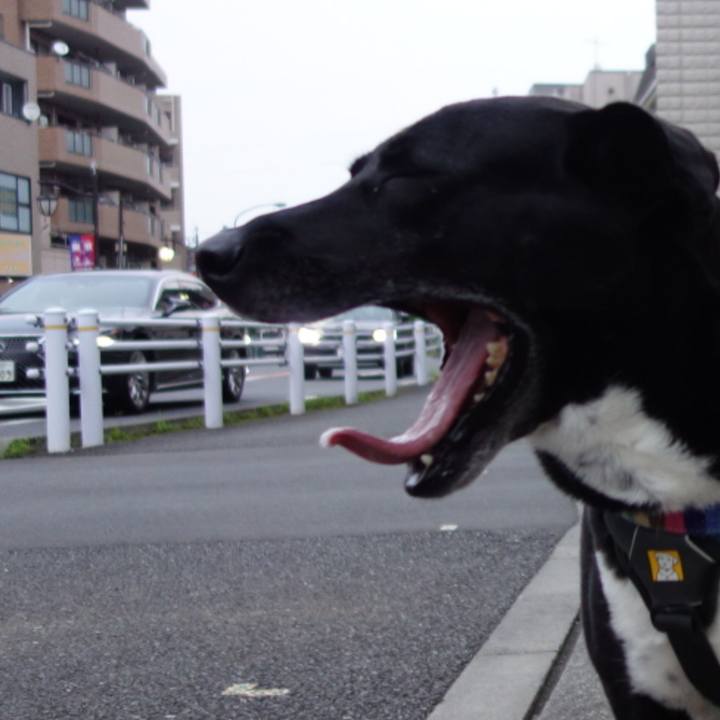 26095475 7dc6 49a8 8ee5 49fd07b71a54 1655376860254