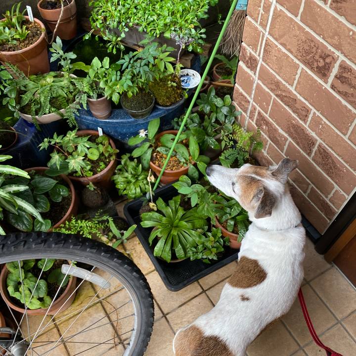 26096137 8a75 4070 9d71 08ac79996e6e 1600562588803