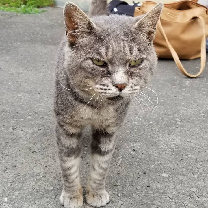 26099de2 5bc1 40af ae5b 8f43d38073f0 1533997064424