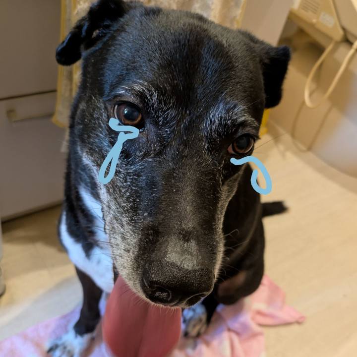 2609bae3 9a99 410b ad9f e99cd728fe0d 1753355066258