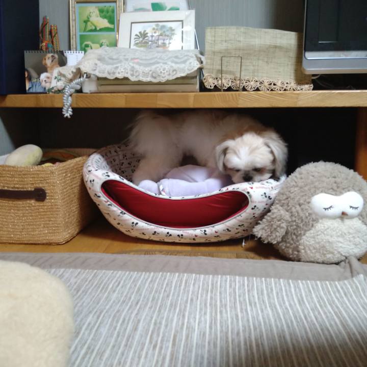 2609e0b2 f06f 45d8 93ed 764d69213b24 1613009445963