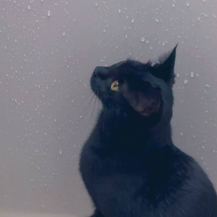 2609fddf a00e 4705 8e31 da865d61376b 1737772012185