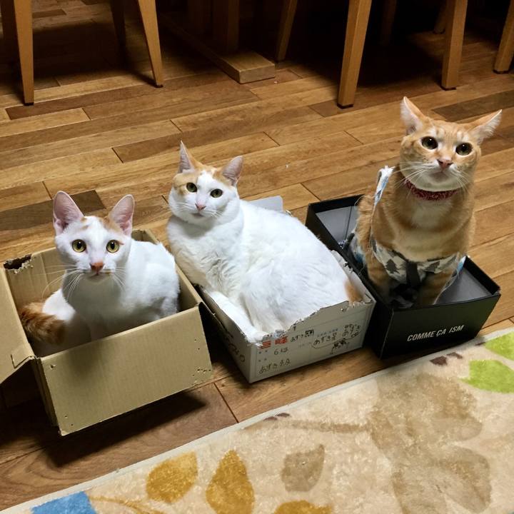 260a2be0 eef4 4937 b51b 66affa16f869 1512261041862