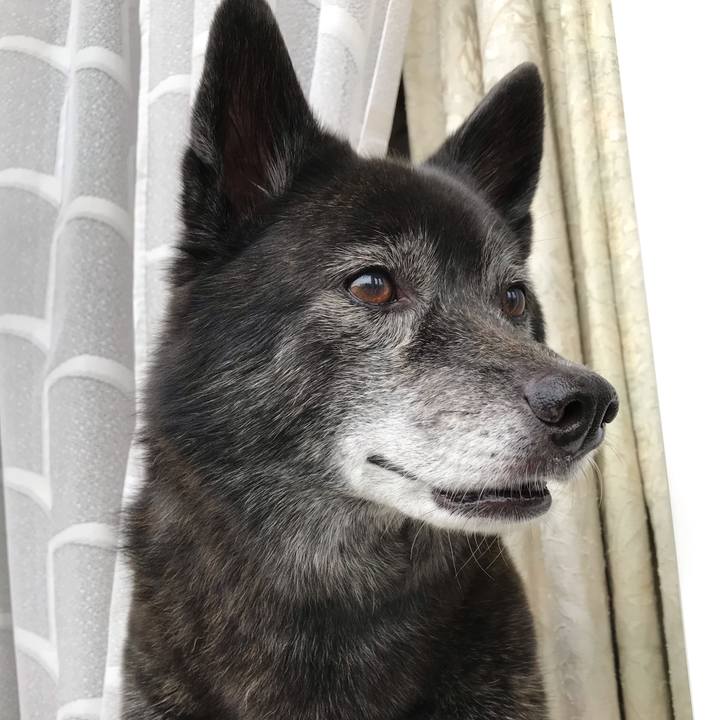 260a575d 7f66 46f1 bd21 61e187559959 1567209218717