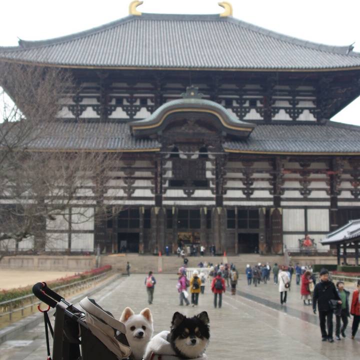 260a634d c3cd 40f2 b5ef a8292a5fd0fb 1549555241959