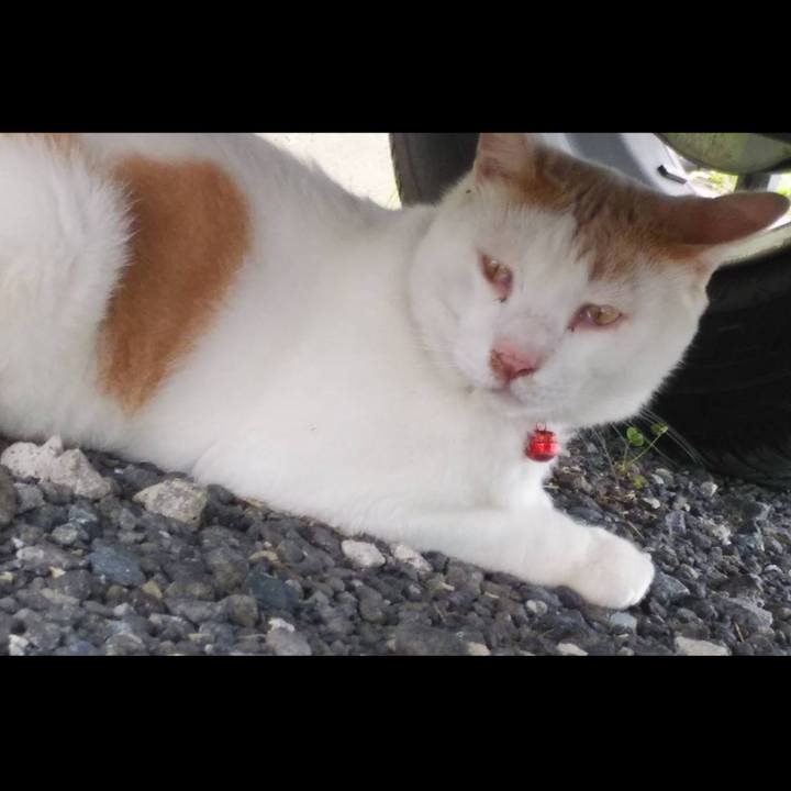 260a80d8 61e0 46cf 82d6 80c63e141e54 1593733794792