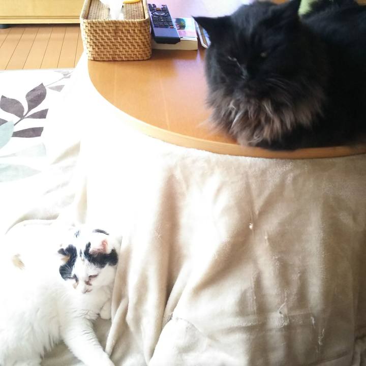 260a903a d547 44b7 8d50 4165019f63e3 1574898685138