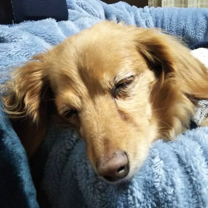 260a9bde 65dd 4e7b 8b0a d89ab4efeac8 1639059726977