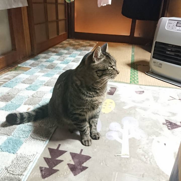 260ad2a6 c447 46e4 b611 7578cf2e71f8 1639915591356